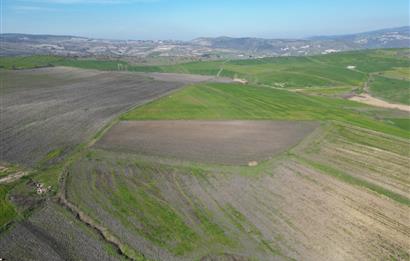CENTRUY 21 BAL'DAN  SUSURLUK SULTANÇAYIR MAHALLESİ SATILIK TARLA