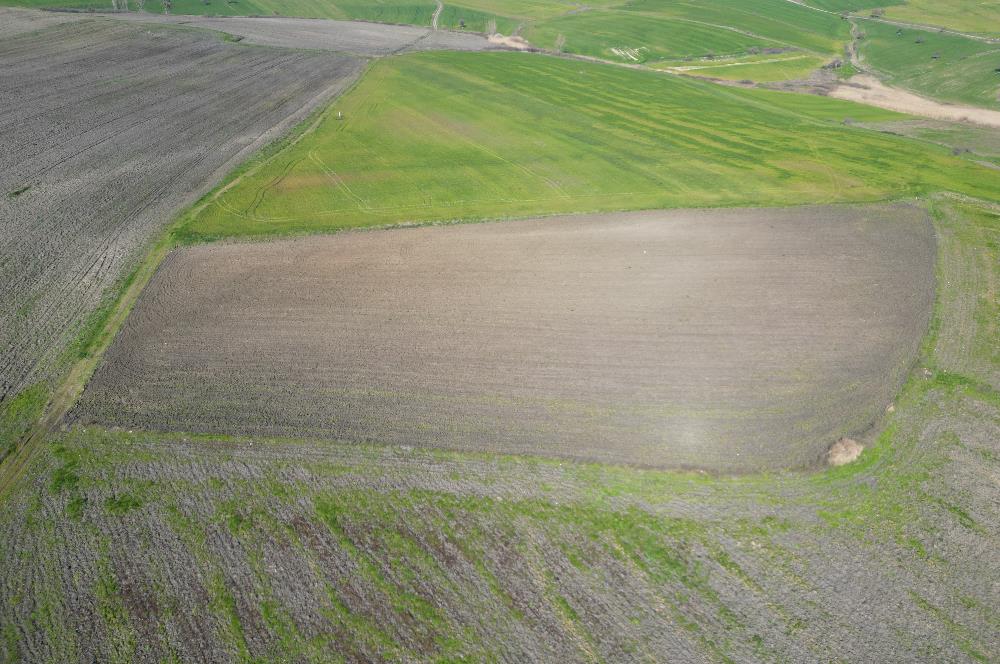 CENTRUY 21 BAL'DAN  SUSURLUK SULTANÇAYIR MAHALLESİ SATILIK TARLA