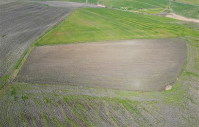 CENTRUY 21 BAL'DAN  SUSURLUK SULTANÇAYIR MAHALLESİ SATILIK TARLA