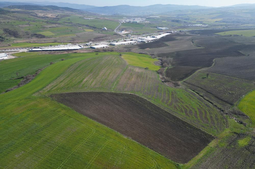 CENTRUY 21 BAL'DAN  SUSURLUK SULTANÇAYIR MAHALLESİ SATILIK TARLA