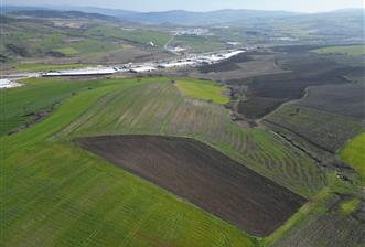 CENTRUY 21 BAL'DAN  SUSURLUK SULTANÇAYIR MAHALLESİ SATILIK TARLA - 6 - 32719