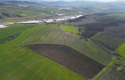 CENTRUY 21 BAL'DAN  SUSURLUK SULTANÇAYIR MAHALLESİ SATILIK TARLA