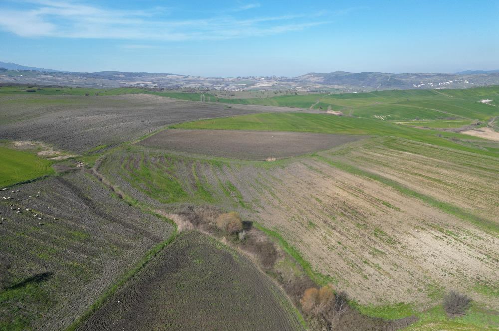 CENTRUY 21 BAL'DAN  SUSURLUK SULTANÇAYIR MAHALLESİ SATILIK TARLA