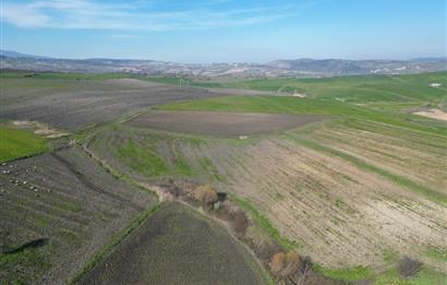 CENTRUY 21 BAL'DAN  SUSURLUK SULTANÇAYIR MAHALLESİ SATILIK TARLA