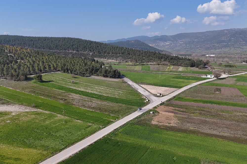 C21 WİNNER BİGADİÇ YOLBAŞI 2.245m² SATILIK TARLA