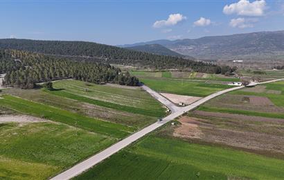 C21 WİNNER BİGADİÇ YOLBAŞI 2.245m² SATILIK TARLA