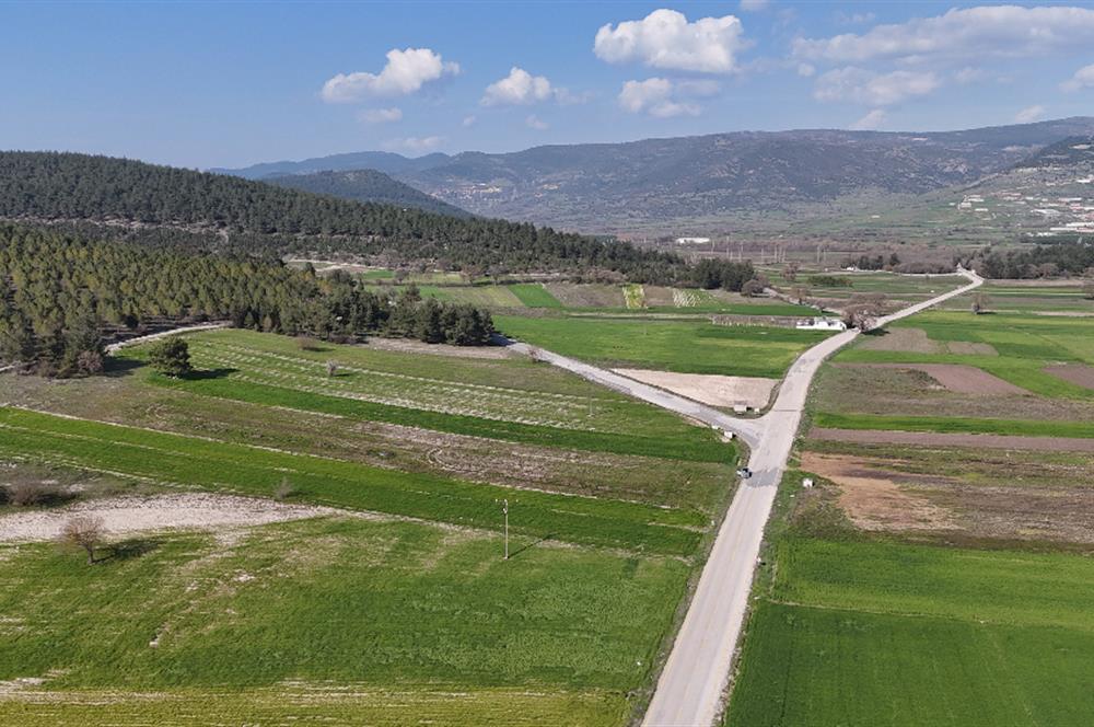 C21 WİNNER BİGADİÇ YOLBAŞI 2.245m² SATILIK TARLA