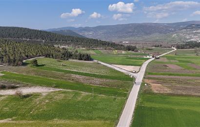 C21 WİNNER BİGADİÇ YOLBAŞI 2.245m² SATILIK TARLA
