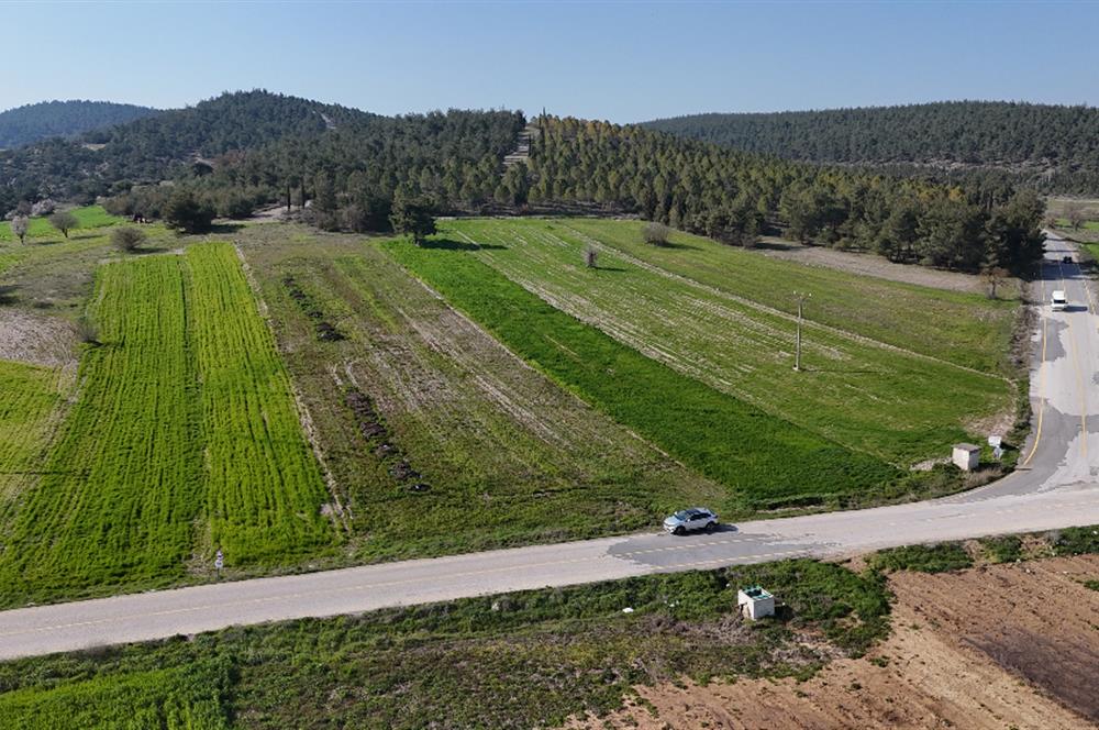 C21 WİNNER BİGADİÇ YOLBAŞI 2.245m² SATILIK TARLA