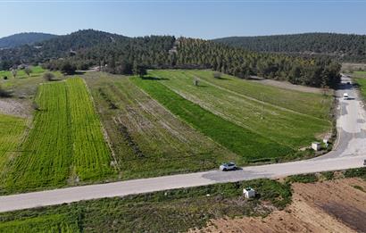 C21 WİNNER BİGADİÇ YOLBAŞI 2.245m² SATILIK TARLA