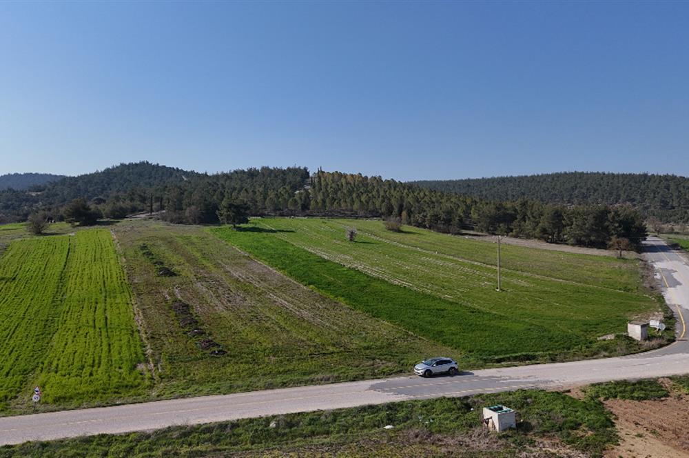 C21 WİNNER BİGADİÇ YOLBAŞI 2.245m² SATILIK TARLA