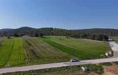 C21 WİNNER BİGADİÇ YOLBAŞI 2.245m² SATILIK TARLA