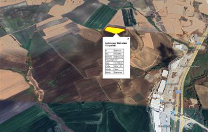 CENTRUY 21 BAL'DAN  SUSURLUK SULTANÇAYIR MAHALLESİ SATILIK TARLA