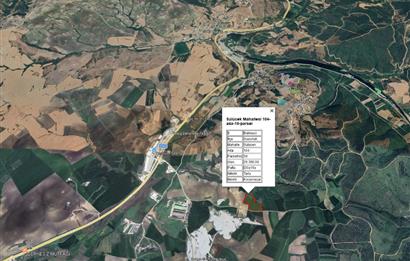 CENTRUY 21 BAL'DAN  SUSURLUK SÜLECEK MAHALLESİ SATILIK TARLA