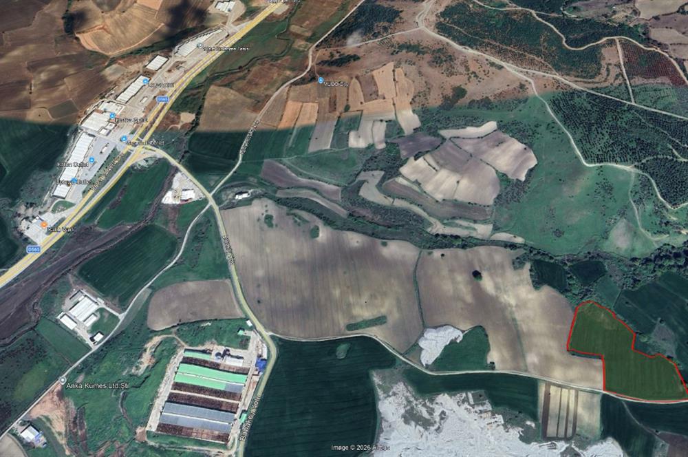 CENTRUY 21 BAL'DAN  SUSURLUK SÜLECEK MAHALLESİ SATILIK TARLA