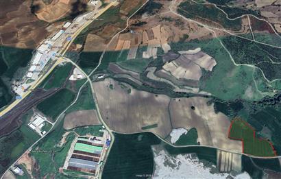 CENTRUY 21 BAL'DAN  SUSURLUK SÜLECEK MAHALLESİ SATILIK TARLA