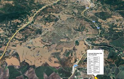 CENTRUY 21 BAL'DAN  SUSURLUK SÜLECEK MAHALLESİ SATILIK TARLA