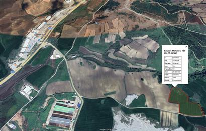 CENTRUY 21 BAL'DAN  SUSURLUK SÜLECEK MAHALLESİ SATILIK TARLA