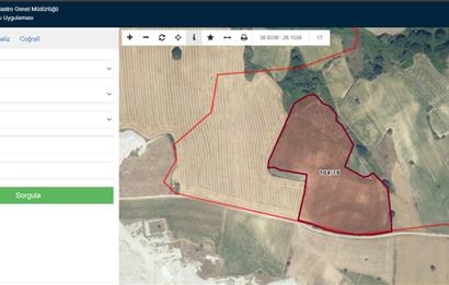 CENTRUY 21 BAL'DAN  SUSURLUK SÜLECEK MAHALLESİ SATILIK TARLA