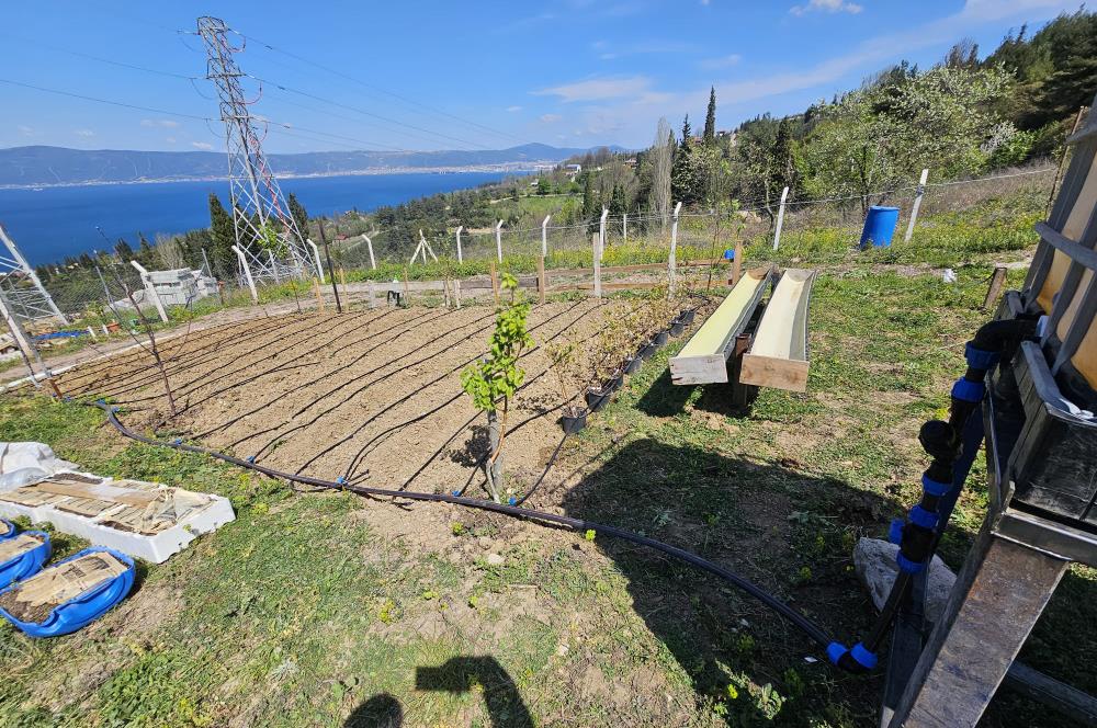 DENİZ İLE DOĞANIN BULUŞTUĞU YER ULAŞLIDA ARSA VE ÜZERİNDE YAPI