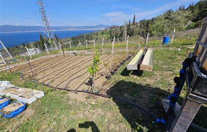 DENİZ İLE DOĞANIN BULUŞTUĞU YER ULAŞLIDA ARSA VE ÜZERİNDE YAPI