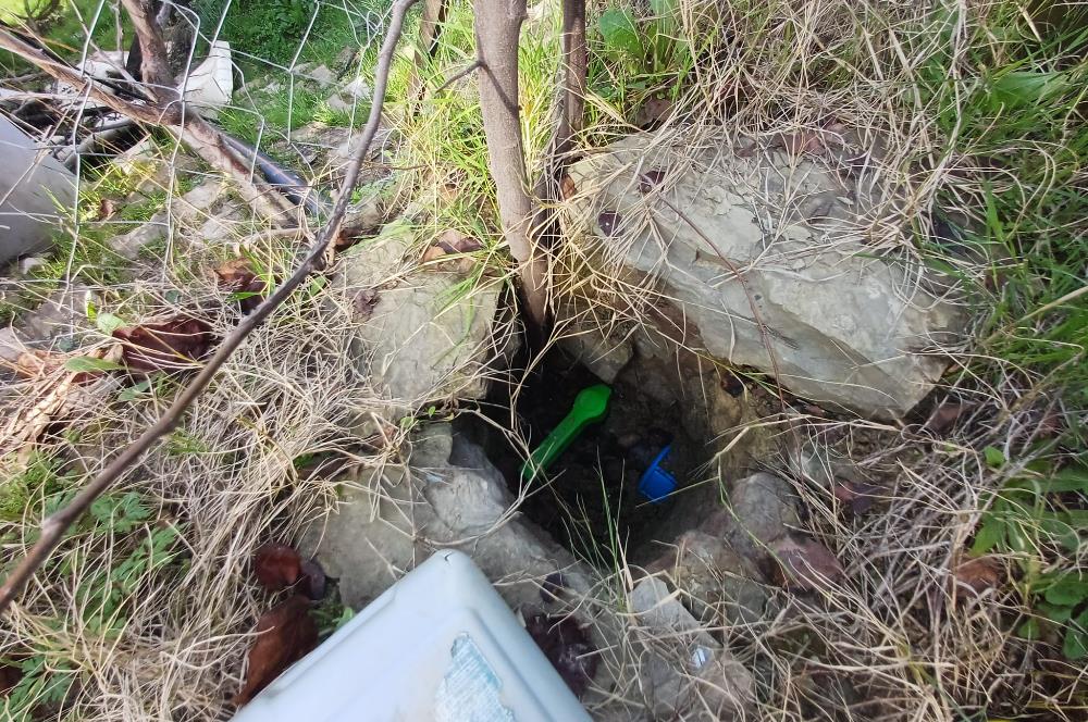 C21 Cius; Gençali'de 2000 M2 Zeytinlik