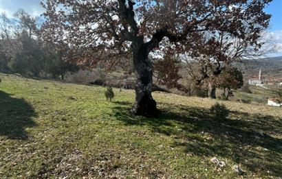 C21'DAN DURSUNBEY KARAPINAR SATILIK ARSA