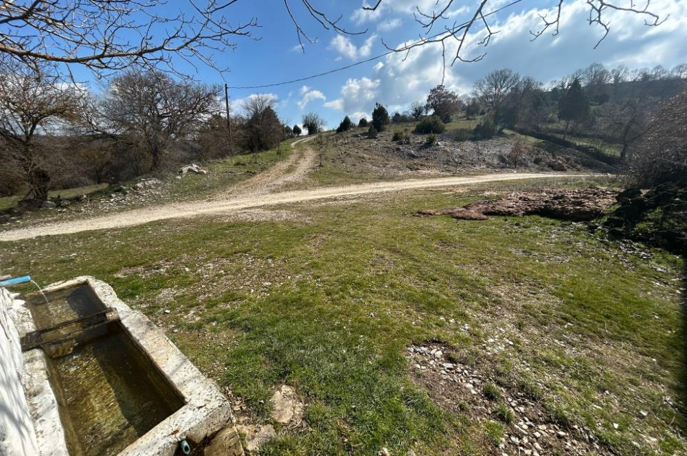 C21'DAN DURSUNBEY KARAPINAR SATILIK ARSA