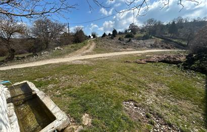 C21'DAN DURSUNBEY KARAPINAR SATILIK ARSA