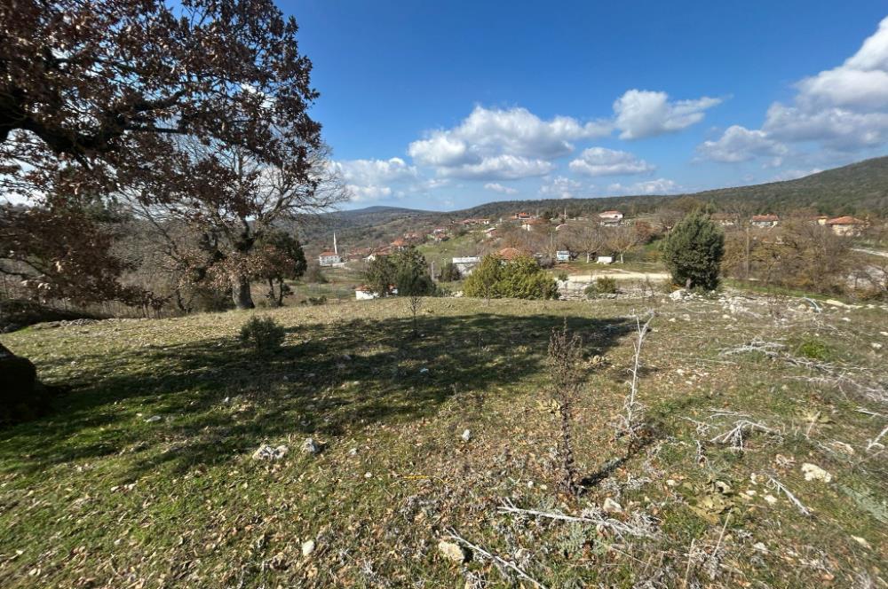 C21'DAN DURSUNBEY KARAPINAR SATILIK ARSA