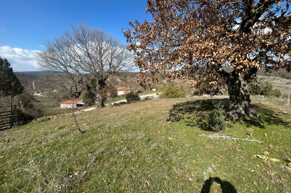 C21'DAN DURSUNBEY KARAPINAR SATILIK ARSA