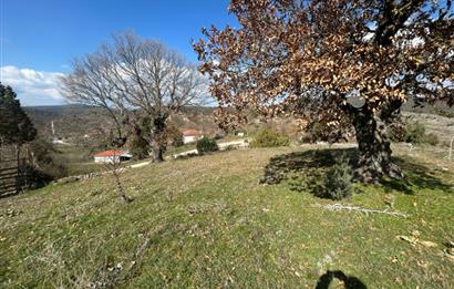 C21'DAN DURSUNBEY KARAPINAR SATILIK ARSA