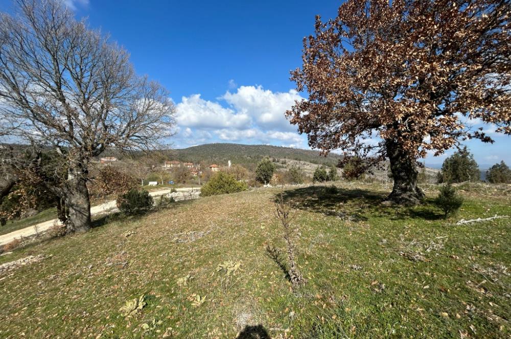 C21'DAN DURSUNBEY KARAPINAR SATILIK ARSA