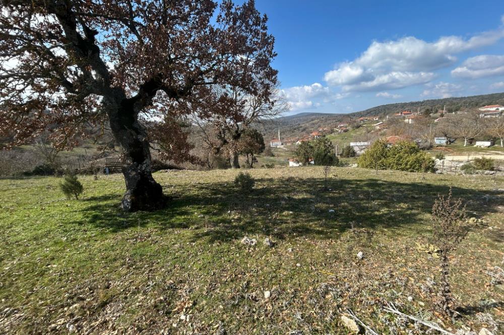 C21'DAN DURSUNBEY KARAPINAR SATILIK ARSA