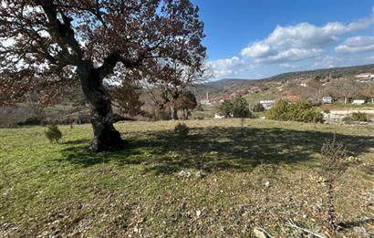 C21'DAN DURSUNBEY KARAPINAR SATILIK ARSA