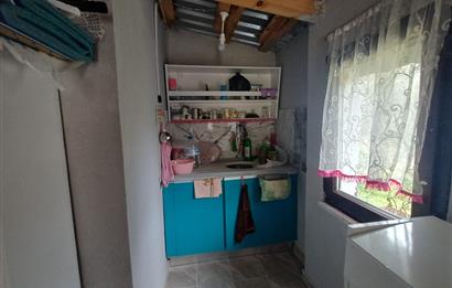 C21 Cius; Küçük Kumla'da İçinde Kayıt Belgeli Ev Olan Zeytinlik