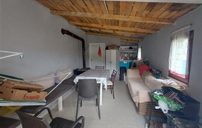 C21 Cius; Küçük Kumla'da İçinde Kayıt Belgeli Ev Olan Zeytinlik