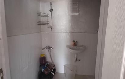 C21 Cius; Küçük Kumla'da İçinde Kayıt Belgeli Ev Olan Zeytinlik