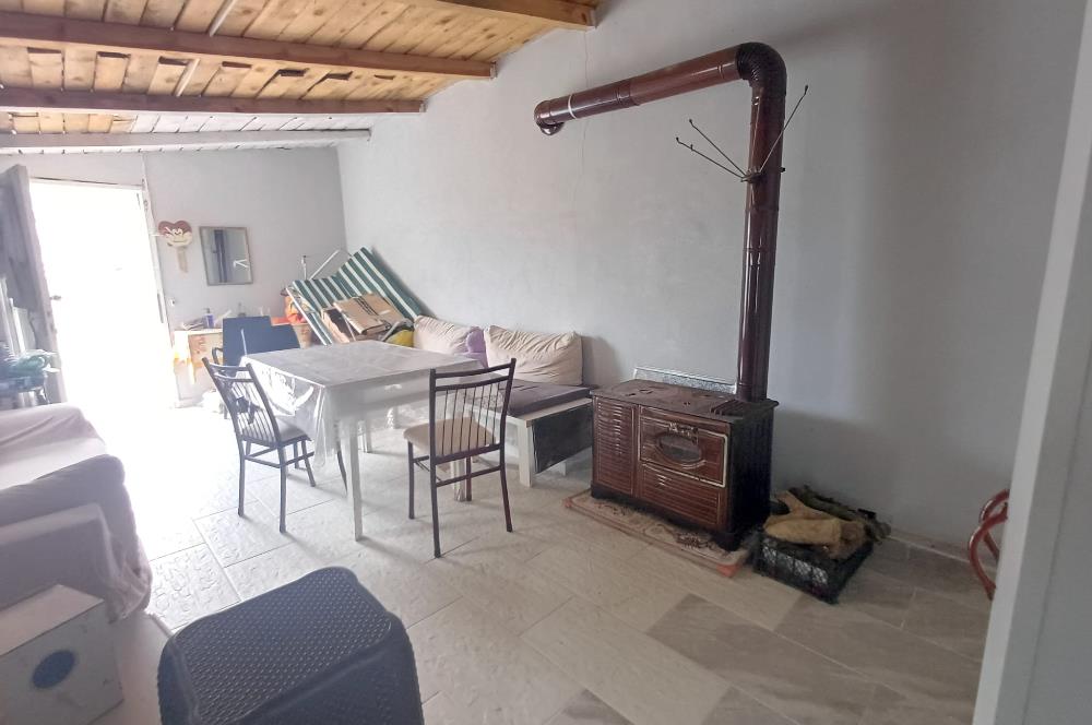 C21 Cius; Küçük Kumla'da İçinde Kayıt Belgeli Ev Olan Zeytinlik