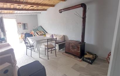 C21 Cius; Küçük Kumla'da İçinde Kayıt Belgeli Ev Olan Zeytinlik