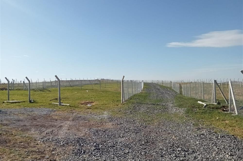 AHİBOZ MAHALLESİNDE  HOBİ BAHÇESİ 