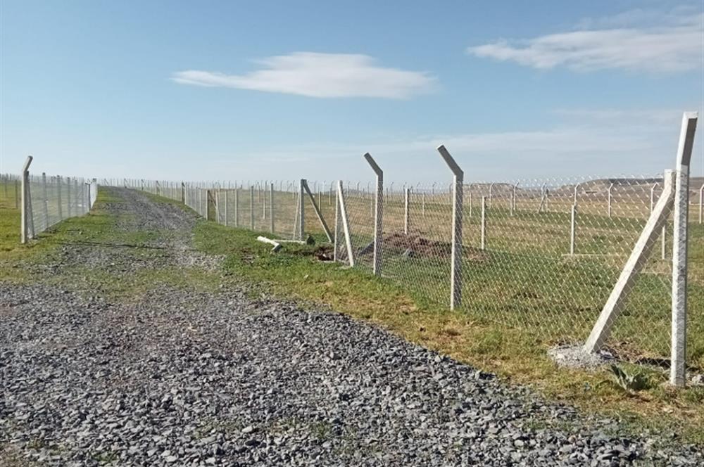 AHİBOZ MAHALLESİNDE  HOBİ BAHÇESİ 