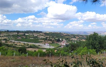 CENTURY21 BAL'DAN ALTIEYLÜL BOZEN MAH.DE SATILIK 18400 M2 TARLA