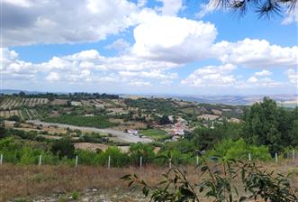 CENTURY21 BAL'DAN ALTIEYLÜL BOZEN MAH.DE SATILIK 18400 M2 TARLA - 5 - 32752