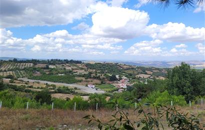 CENTURY21 BAL'DAN ALTIEYLÜL BOZEN MAH.DE SATILIK 18400 M2 TARLA