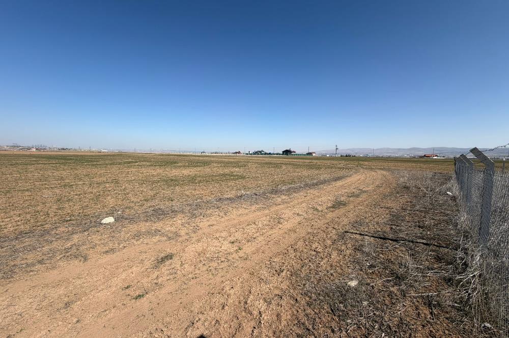 CENTURY 21 LEGENDS 'DAN YAVRUCUK MAHALLESİ'NDE SATILIK HİSSELİ TARLA