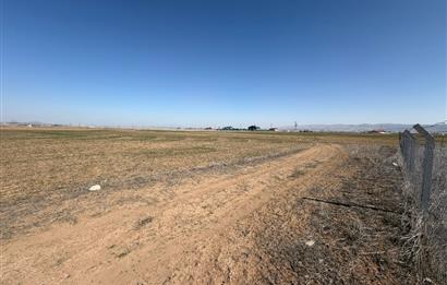 CENTURY 21 LEGENDS 'DAN YAVRUCUK MAHALLESİ'NDE SATILIK HİSSELİ TARLA