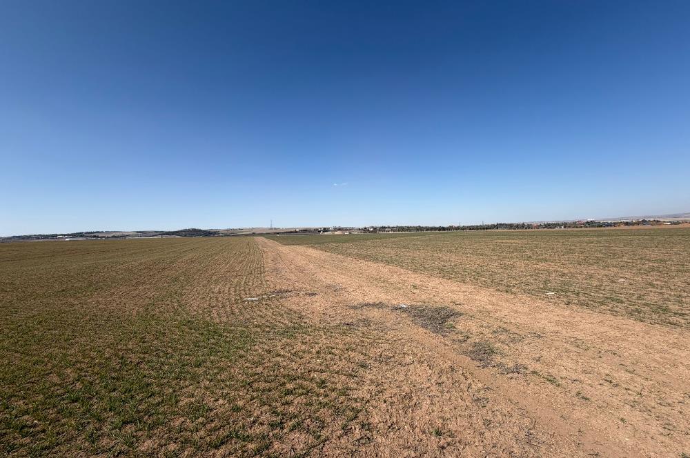 CENTURY 21 LEGENDS 'DAN YAVRUCUK MAHALLESİ'NDE SATILIK HİSSELİ TARLA