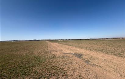 CENTURY 21 LEGENDS 'DAN YAVRUCUK MAHALLESİ'NDE SATILIK HİSSELİ TARLA