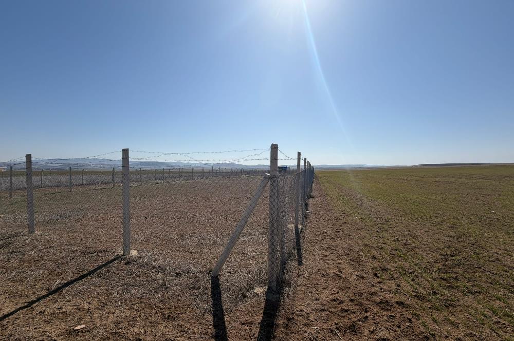 CENTURY 21 LEGENDS 'DAN YAVRUCUK MAHALLESİ'NDE SATILIK HİSSELİ TARLA